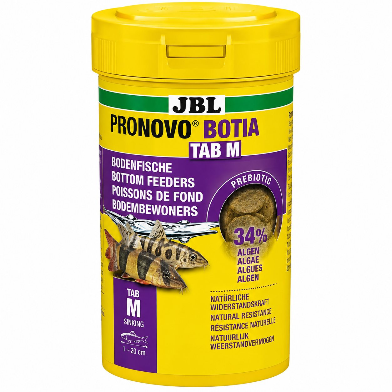 JBL PRONOVO BOTIA TAB M - Biotope Lebanon